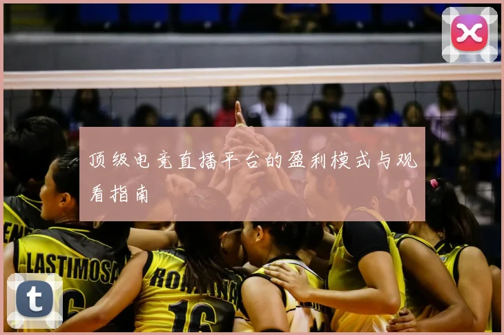 顶级电竞直播平台的盈利模式与观看指南